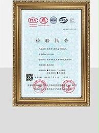 公安辐射安全检测报告