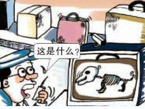 timg